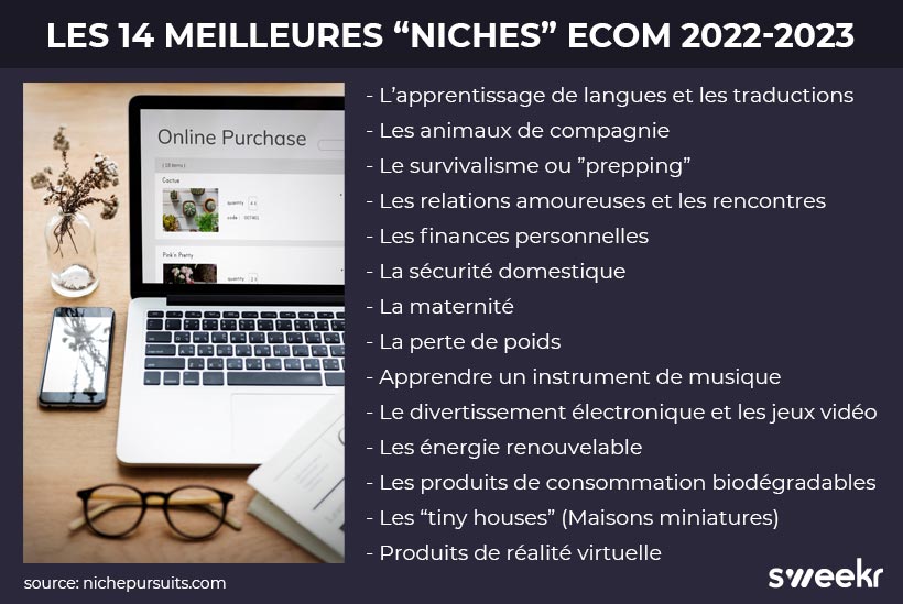 Meilleures niches ecom 2022-2023